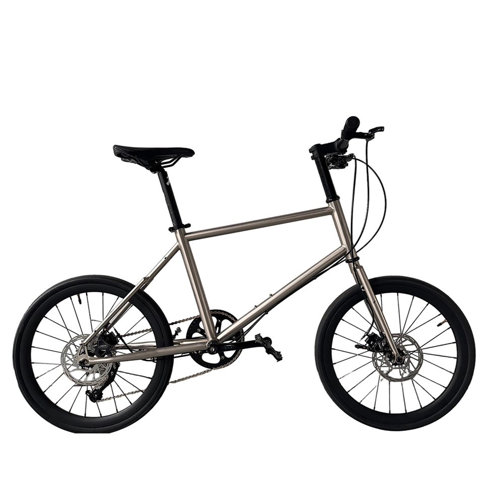 Biciclette per ragazzi da 20 p - Cycling Gear Inches recensione e prezzo