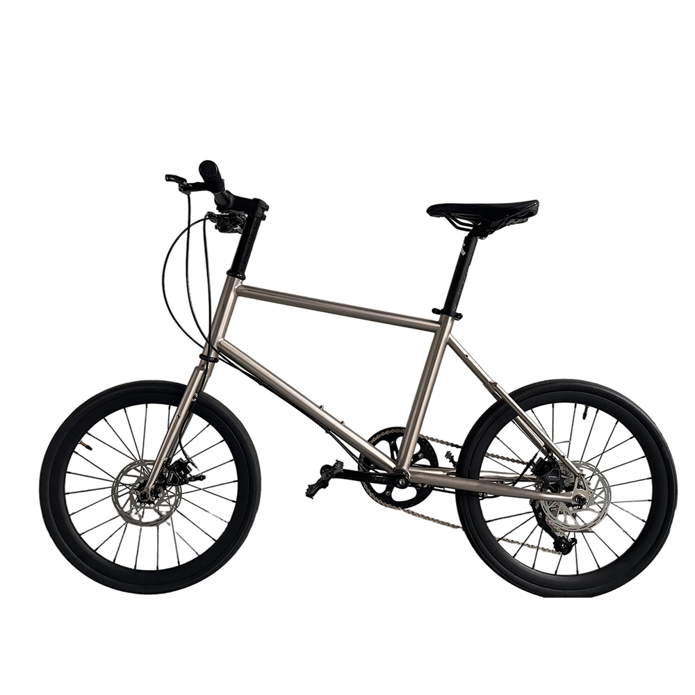 Biciclette per ragazzi da 20 p - Cycling Gear Inches recensione e prezzo